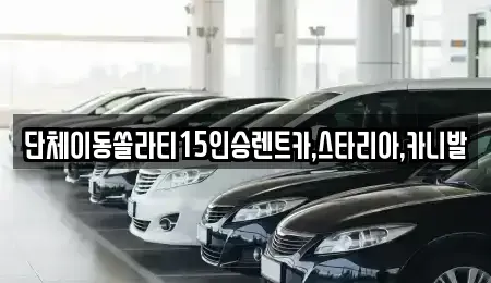 경기도 안성시 보개면 렌트카 전문 단체이동쏠라티15인승렌트카,스타리아,카니발