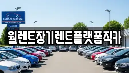 경기도 안성시 보개면 장기렌트카,중고차,렌트카,단기렌트카,중고차매입,중고차매매