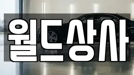 경기도 안성시 보개면 중고차 전문 월드상사