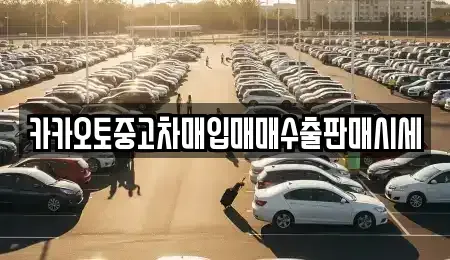 경기도 안성시 보개면 중고차매입 전문 카카오토중고차매입매매수출판매시세