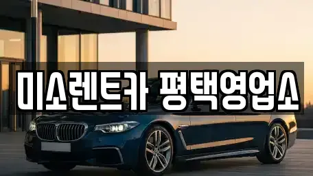 경기도 안성시 원곡면 렌트카 전문 미소렌트카 평택영업소