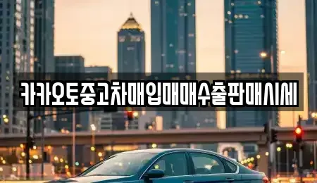 경기도 안성시 원곡면 중고차매입 전문 카카오토중고차매입매매수출판매시세