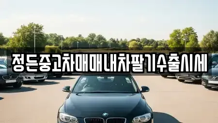 경기도 여주시 대신면 중고차매매 전문 정든중고차매매내차팔기수출시세