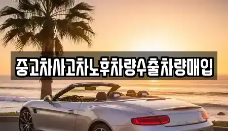 경기도 여주시 오금동 중고차 전문 중고차사고차노후차량수출차량매입