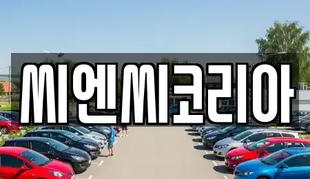 경기도 오산시 은계동 단기렌트카,중고차매입,중고차매매,중고차,렌트카,장기렌트카