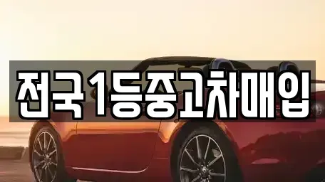 경기도 오산시 은계동 중고차매입 전문 전국1등중고차매입