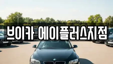 경기도 용인시 기흥구 보정동 렌트카 전문 브이카 에이플러스지점