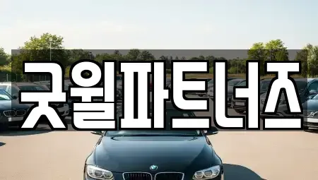 경기도 용인시 기흥구 보정동 장기렌트카 전문 굿윌파트너즈
