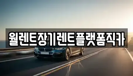 경기도 용인시 기흥구 보정동 장기렌트카 전문 월렌트장기렌트플랫폼직카