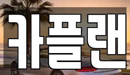 경기도 용인시 기흥구 보정동 장기렌트카 전문 카플랜