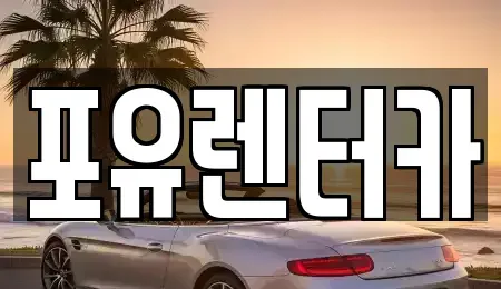 경기도 용인시 기흥구 보정동 장기렌트카 전문 포유렌터카