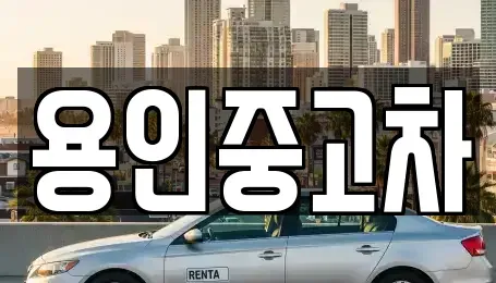 경기도 용인시 기흥구 보정동 중고차매매 전문 용인중고차