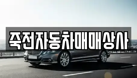 경기도 용인시 기흥구 보정동 중고차매매 전문 죽전자동차매매상사