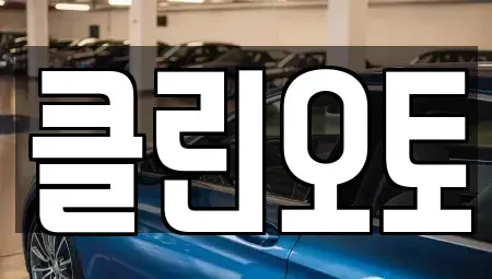 경기도 용인시 기흥구 보정동 중고차매매 전문 클린오토