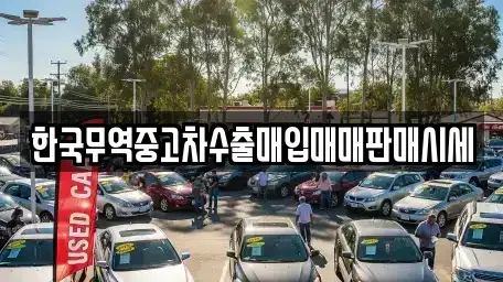 경기도 용인시 기흥구 보정동 중고차매매 전문 한국무역중고차수출매입매매판매시세