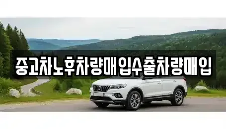 경기도 용인시 기흥구 보정동 중고차매입 전문 중고차노후차량매입수출차량매입