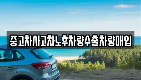 경기도 용인시 기흥구 보정동 중고차매입 전문 중고차사고차노후차량수출차량매입