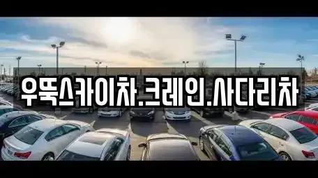 경기도 파주시 신촌동 중고차매입 전문 우뚝스카이차.크레인.사다리차