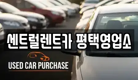 경기도 평택시 세교동 단기렌트카 전문 센트럴렌트카 평택영업소