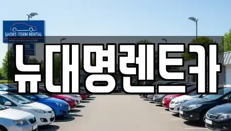 경기도 평택시 세교동 렌트카 전문 뉴대명렌트카