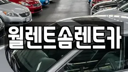 경기도 평택시 세교동 렌트카 전문 월렌트솜렌트카