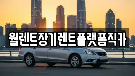 경기도 평택시 세교동 렌트카 전문 월렌트장기렌트플랫폼직카