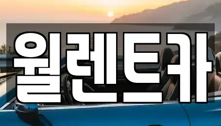 경기도 평택시 세교동 렌트카 전문 월렌트카