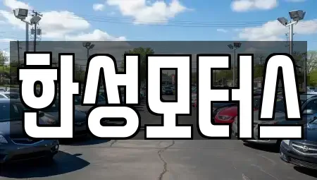 경기도 평택시 세교동 중고차매매 전문 한성모터스