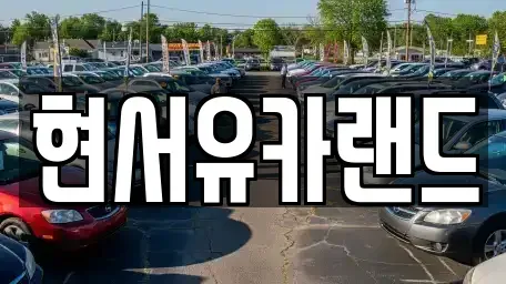 경기도 평택시 세교동 중고차매매 전문 현서유카랜드