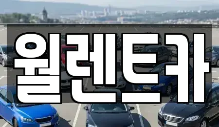 경기도 평택시 칠괴동 렌트카 전문 월렌트카
