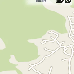 경기도 포천시 자작동 렌트카 허니문렌트카 위치