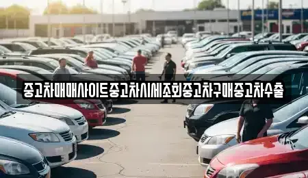경기도 하남시 교산동 중고차 전문 중고차매매사이트중고차시세조회중고차구매중고차수출