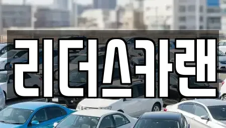 경기도 하남시 하산곡동 단기렌트카 전문 리더스카랜