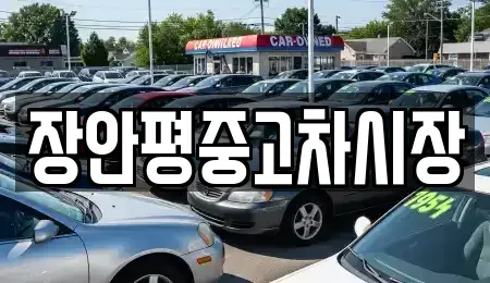 경기도 하남시 하산곡동 중고차매매 전문 장안평중고차시장