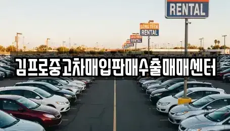 경기도 하남시 하산곡동 중고차매입 전문 김프로중고차매입판매수출매매센터