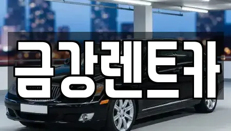 경기도 화성시 반정동 렌트카 전문 금강렌트카