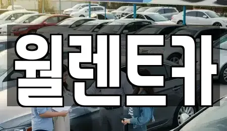 경기도 화성시 반정동 렌트카,단기렌트카,장기렌트카,중고차,중고차매매,중고차매입