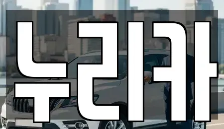 경기도 화성시 새솔동 렌트카 전문 누리카