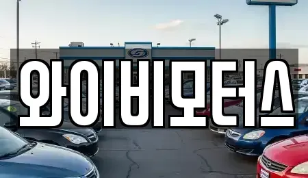 경기도 화성시 새솔동 중고차 전문 와이비모터스