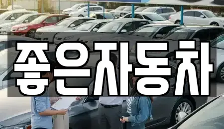 경기도 화성시 새솔동 중고차 전문 좋은자동차