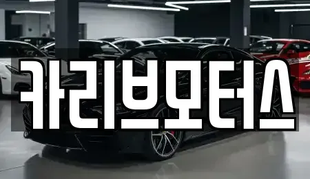 경기도 화성시 새솔동 중고차 전문 카리브모터스