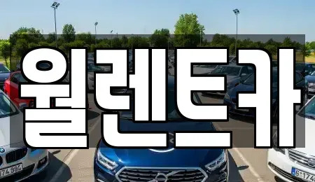 경기도 화성시 팔탄면 렌트카 전문 월렌트카