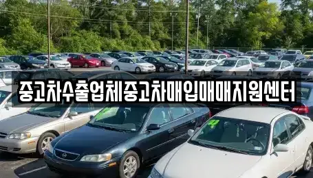 경남 사천시 동동 중고차매입 전문 중고차수출업체중고차매입매매지원센터