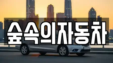 경남 양산시 물금읍 렌트카 전문 숲속의자동차