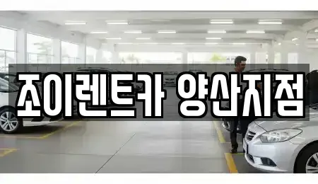 경남 양산시 물금읍 렌트카 전문 조이렌트카 양산지점