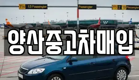경남 양산시 물금읍 장기렌트카,중고차,렌트카,단기렌트카,중고차매입,중고차매매