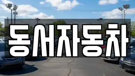 경남 진주시 동성동 중고차 전문 동서자동차