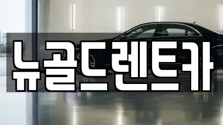 경남 진주시 본성동 렌트카 전문 뉴골드렌트카