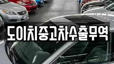 경남 창원시 마산회원구 두척동 중고차 전문 도이치중고차수출무역