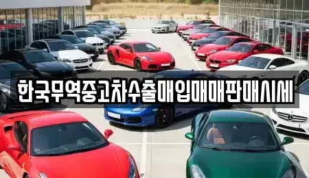경남 창원시 마산회원구 두척동 중고차매입 전문 한국무역중고차수출매입매매판매시세